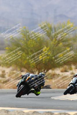 media/Apr-10-2022-SoCal Trackdays (Sun) [[f104b12566]]/Turn 5 Tree of Life (1040am)/